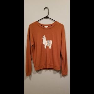Wet Seal burnt orange small sweater